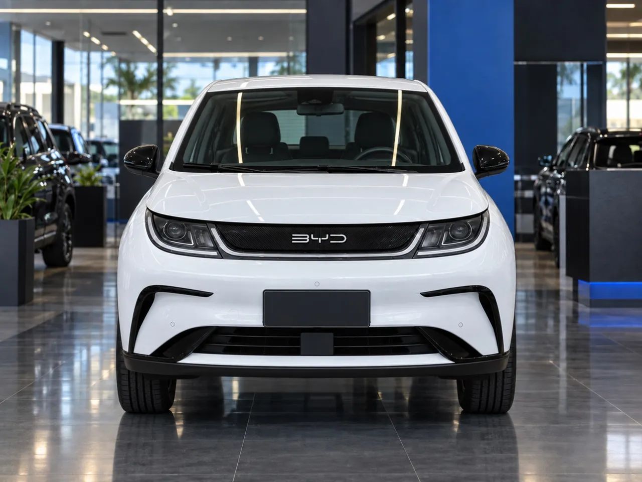 BYD Dolphin GS (Elétrico) 2027 - Foto 4
