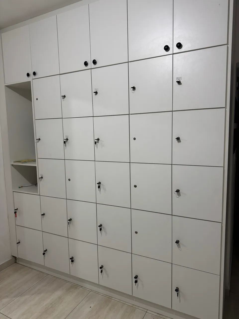 Guarda Volumes Planejado Profissional