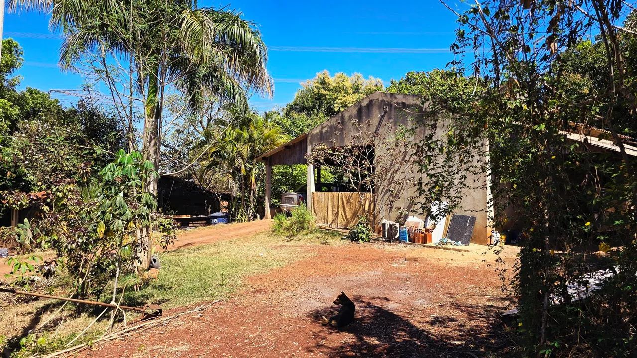 Chácara em Ilha Solteira 2.500m²