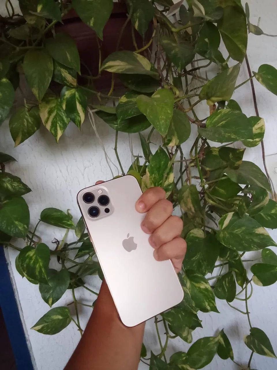 iPhone 12 Pro Max 