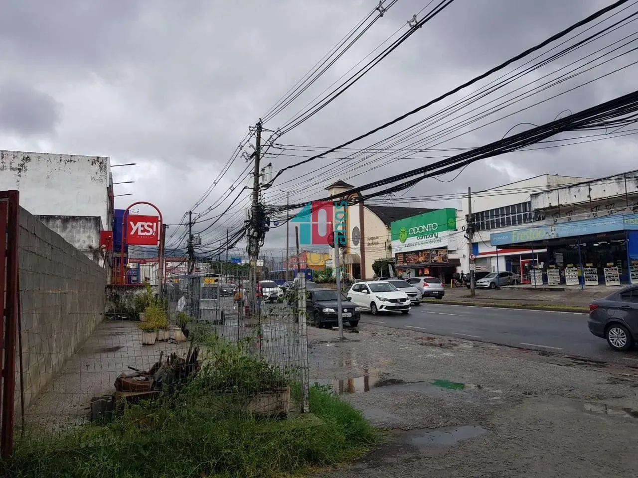 Campo Grande | Terreno - Foto 12