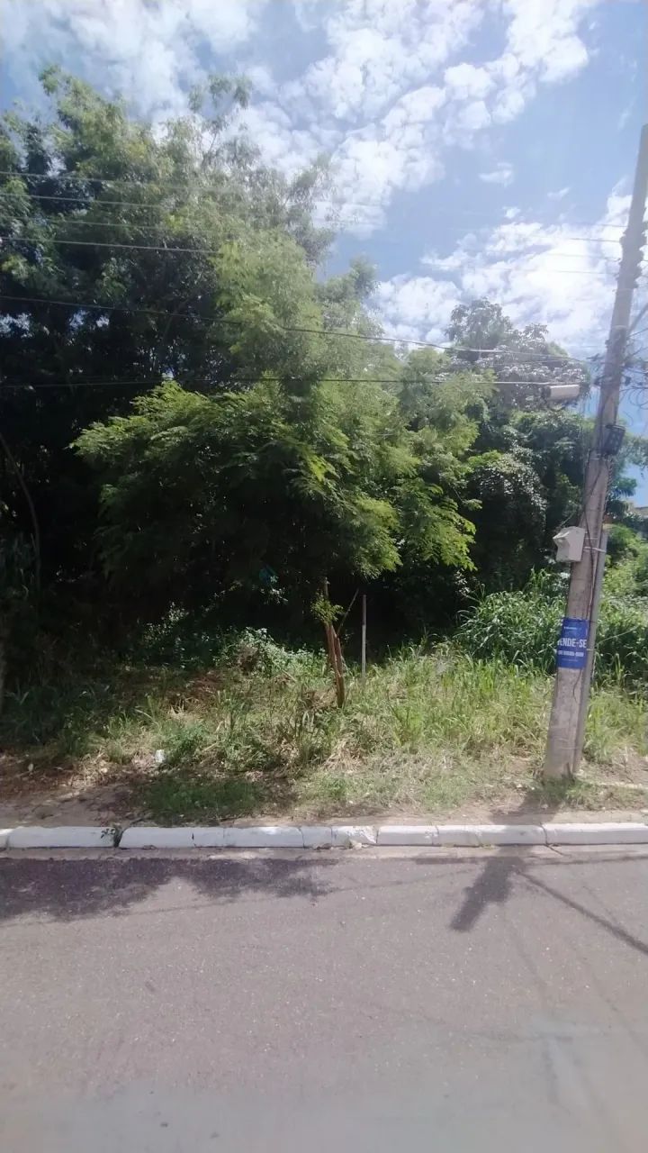 Terreno Bem Localizado no Bairro Quilombo - Foto 5