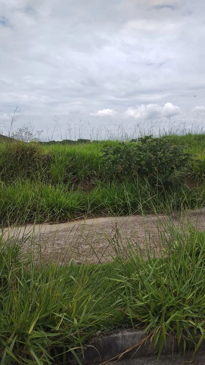 Foto - Taubaté - Residencial San Marino