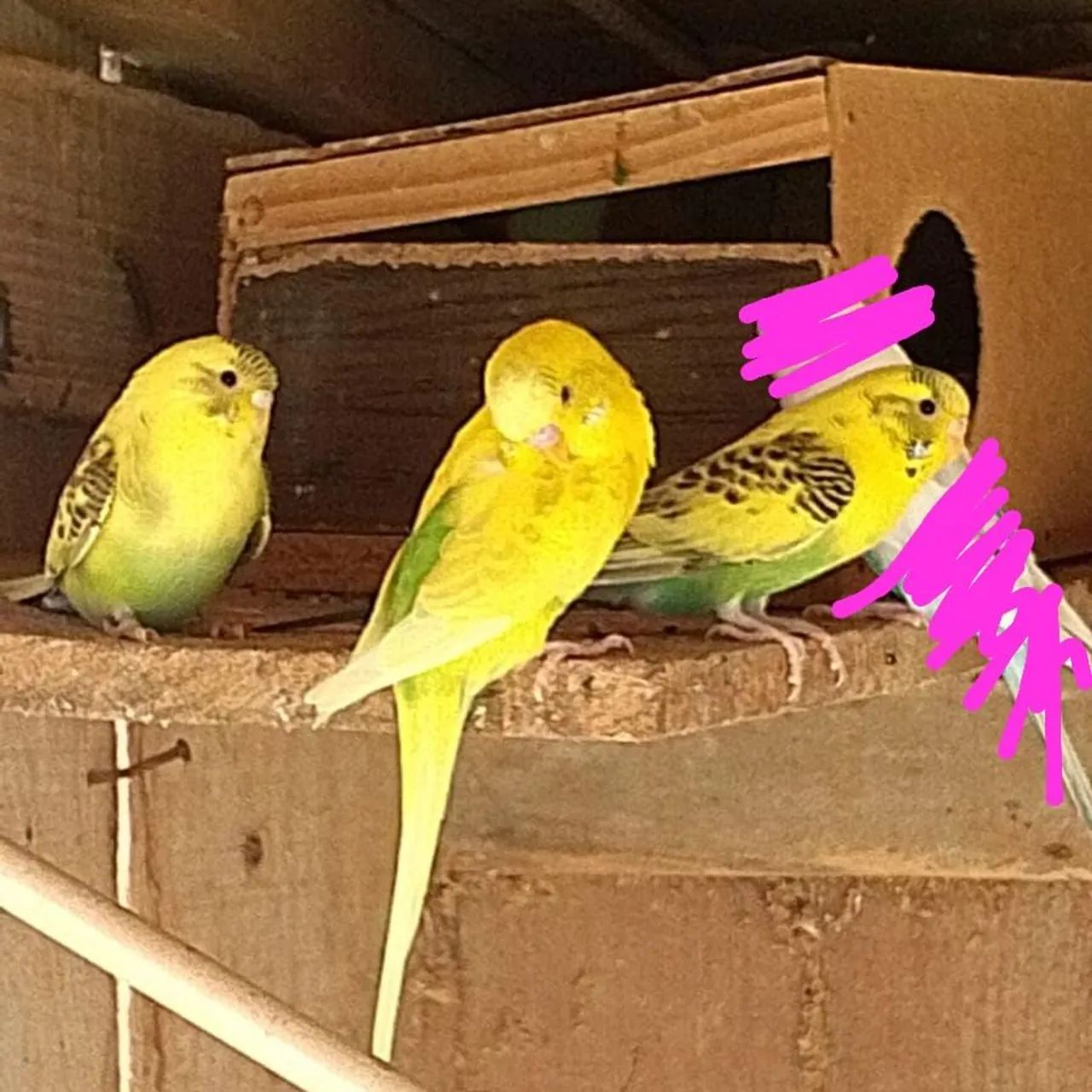 Vende-se