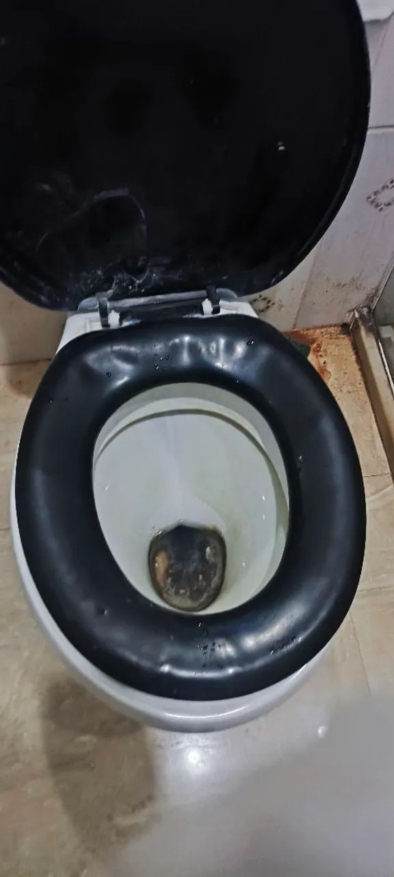 Vaso sanitário - Foto 3