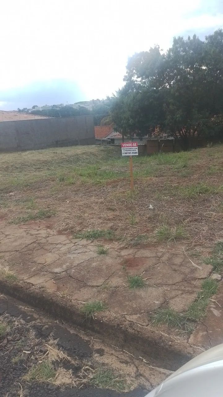 Terreno  - Foto 2