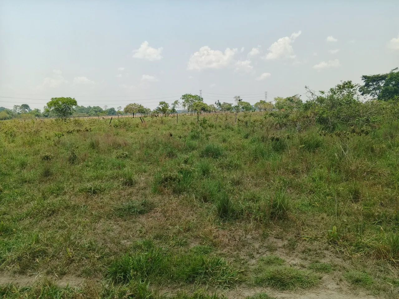 Vende-se TERRENO - Foto 4