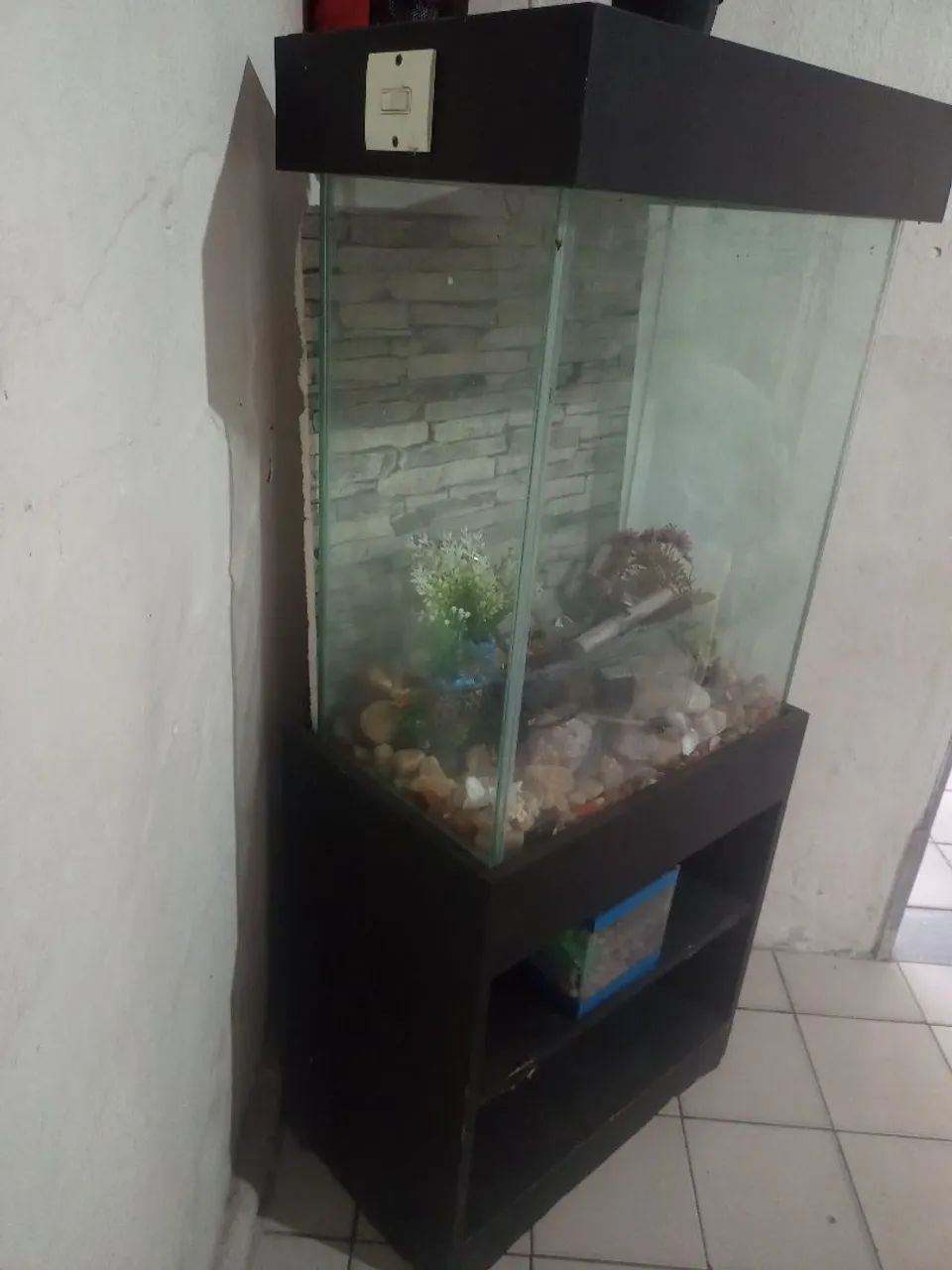 Aquário Completo  - Foto 2