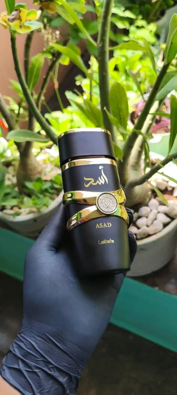 Asad original perfume Árabe 