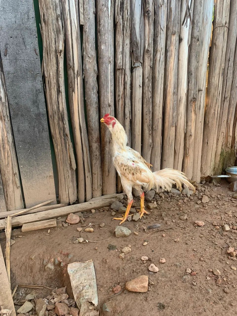 Vende-se - Foto 5