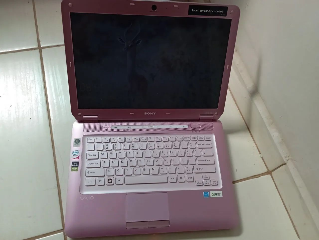 Notebook vaio rosa