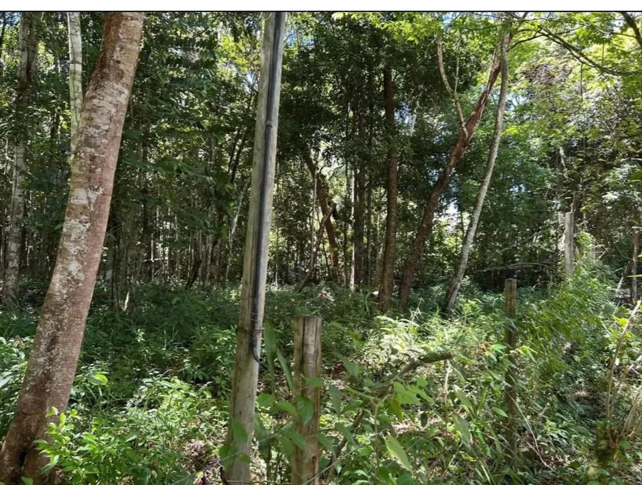 Terreno em Trancoso