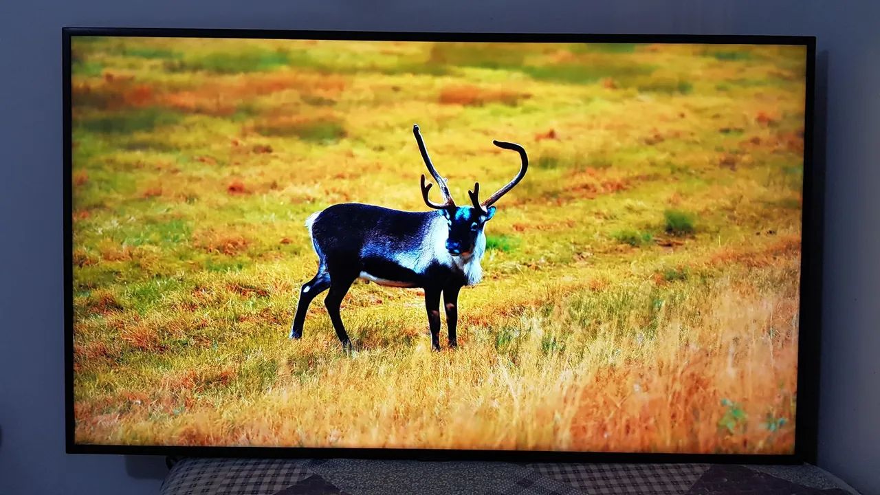 TV 50" Smart - Foto 4