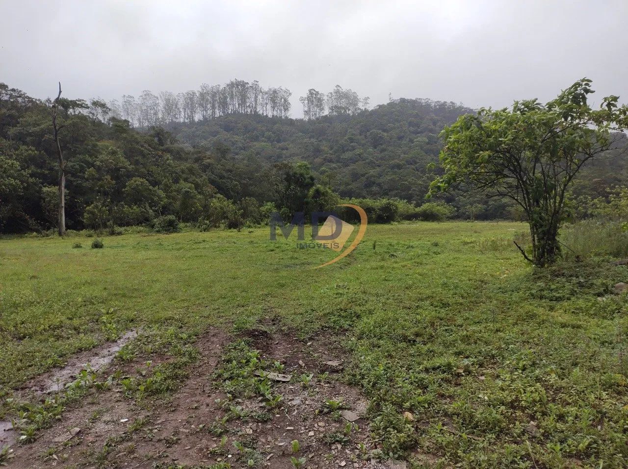 Área industrial 148.000m² para venda em Mauá!