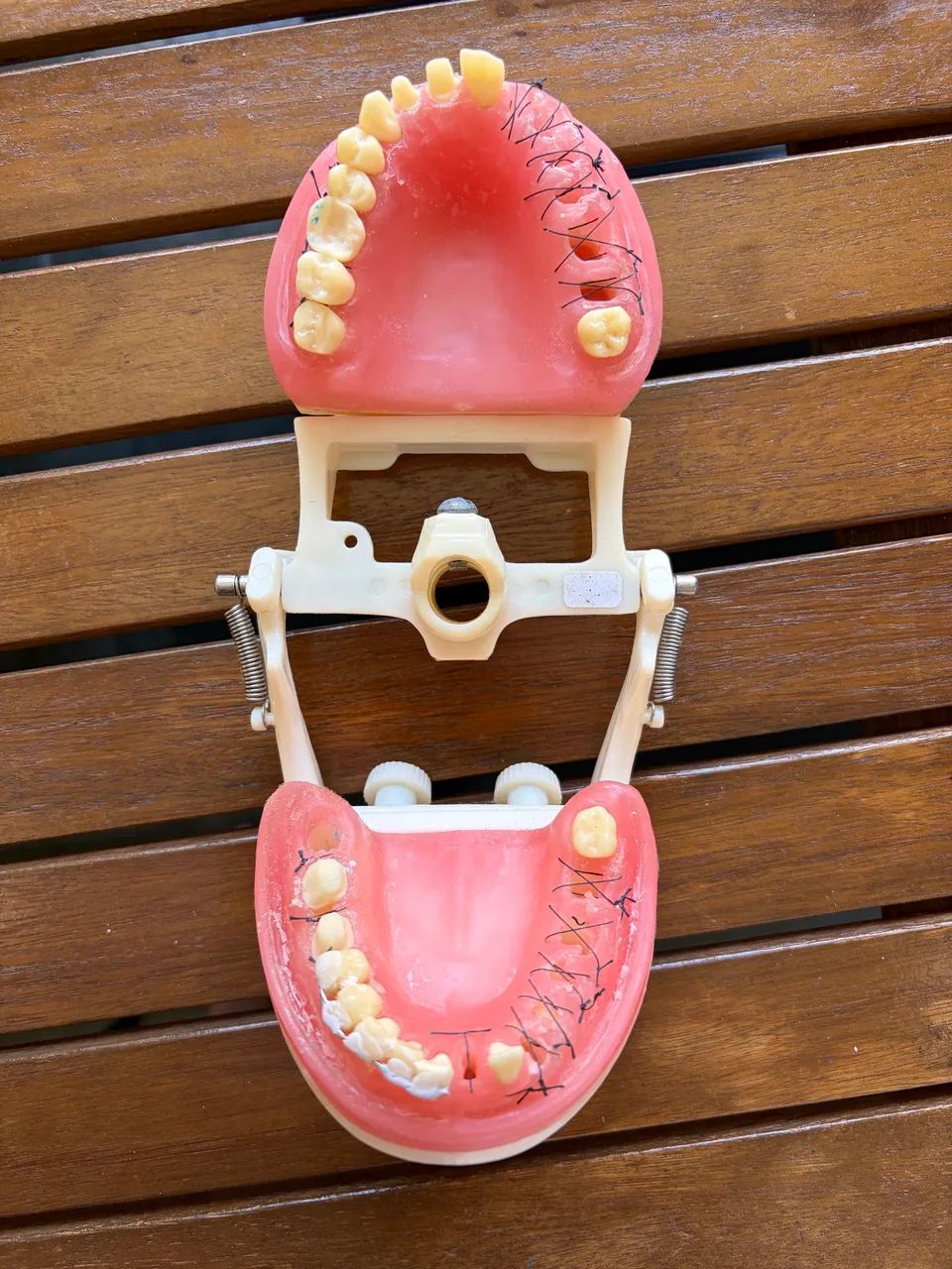 Manequim odontologia 