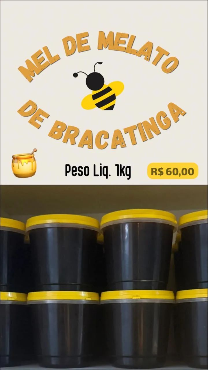 Mel de Melato de Bracatinga 1kg - Foto 2