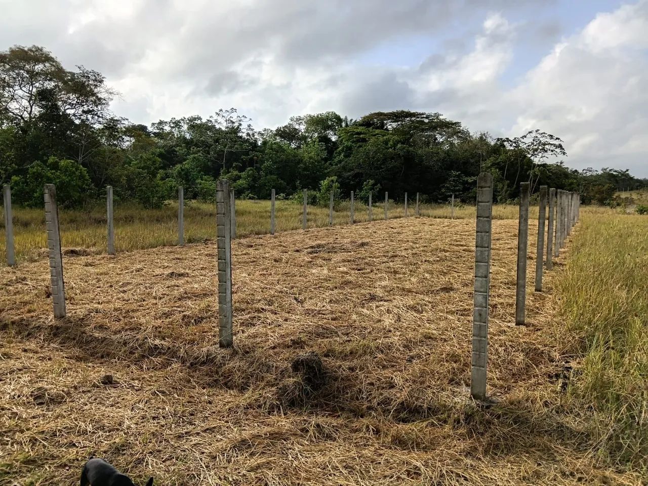 Lote em Salgado - SE - Foto 5