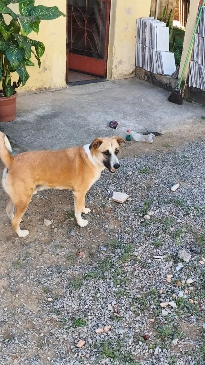 Doação 