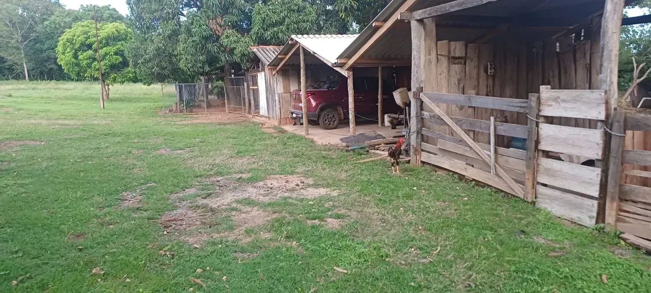 Vendo Sítio com 46 hectares no Sadia 3 - Foto 2