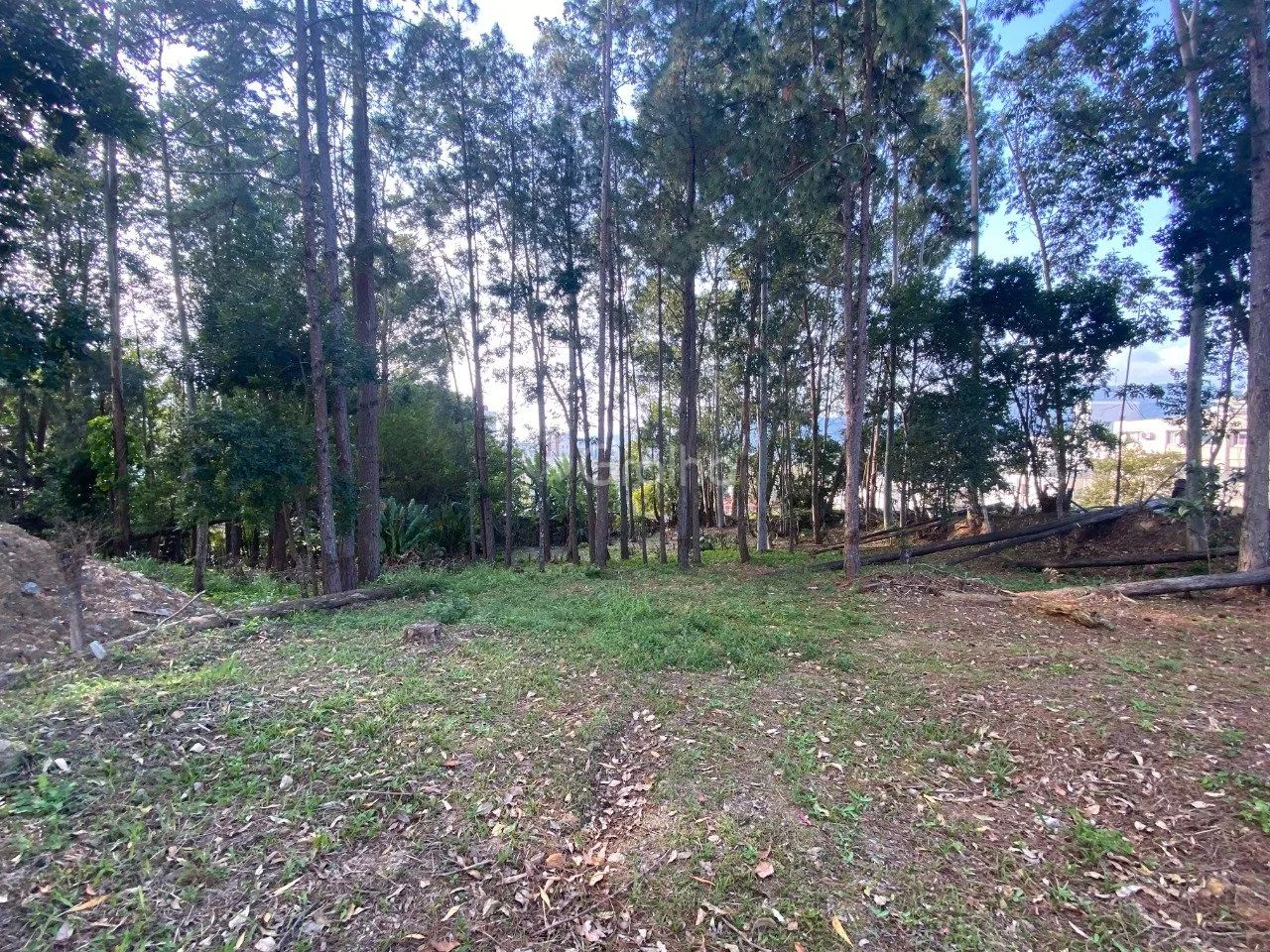 Terreno de 1.500m² no Pantanal - Foto 5