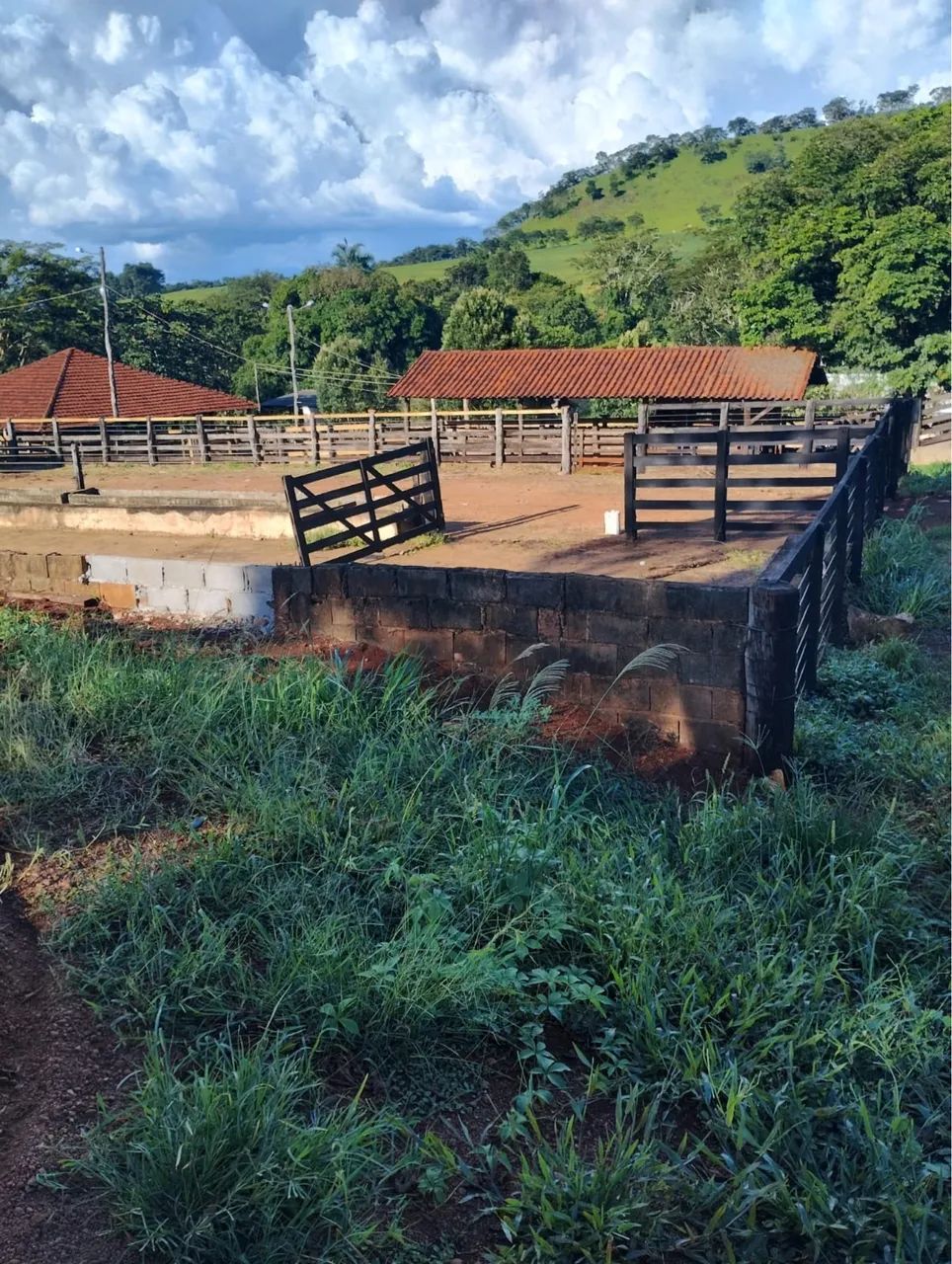 Fazenda dupla aptidão em Uberlândia  - Foto 3