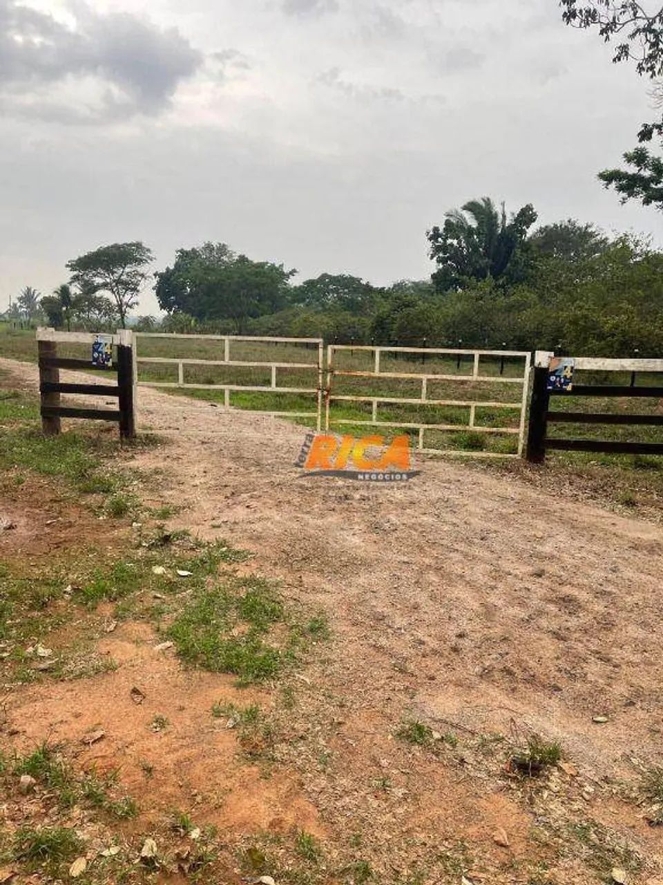 Vende-se excelente sítio em Urupá-RO - Foto 4
