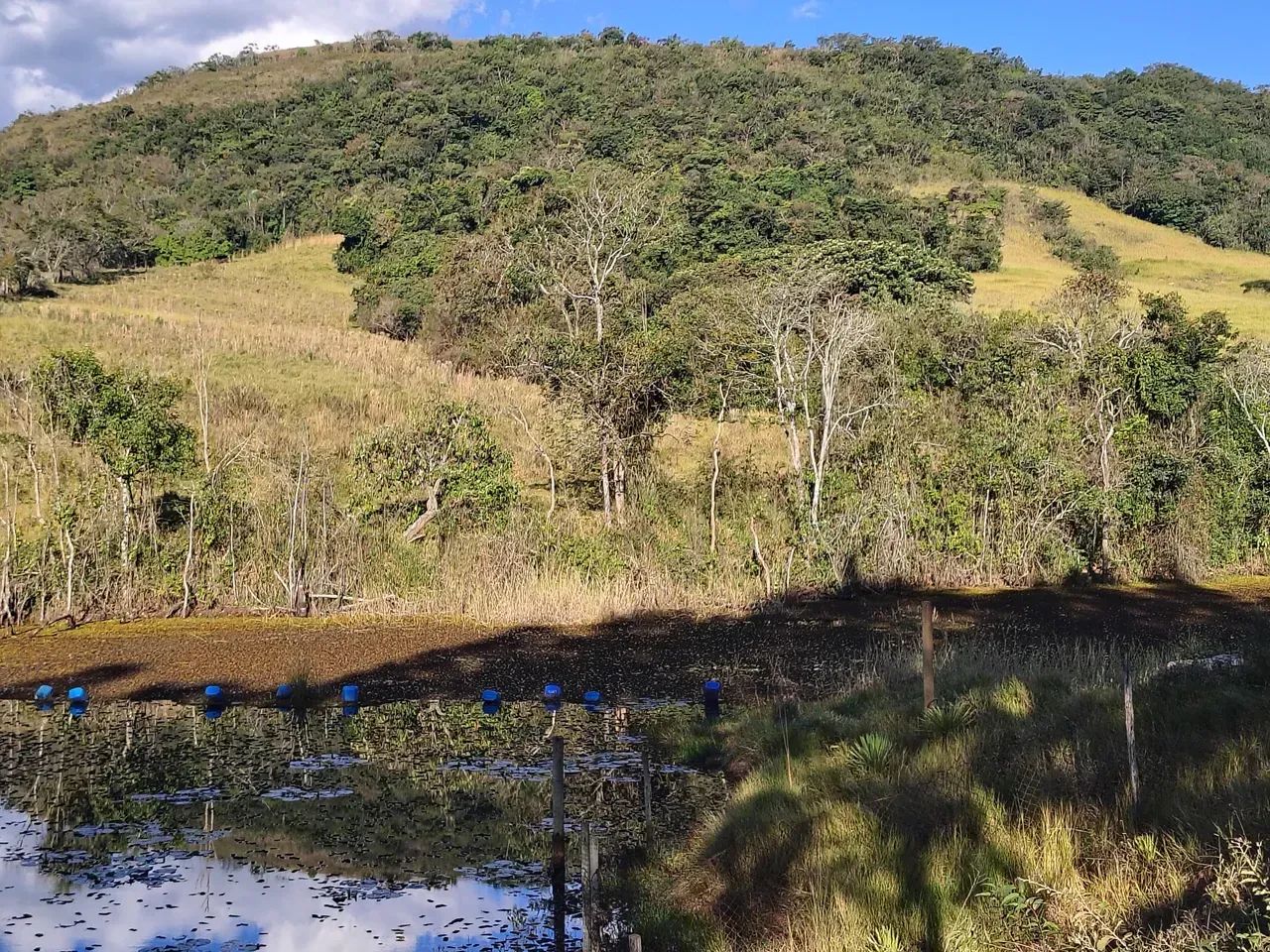 Sítio para gado ,lazer ,represa grande - Foto 4