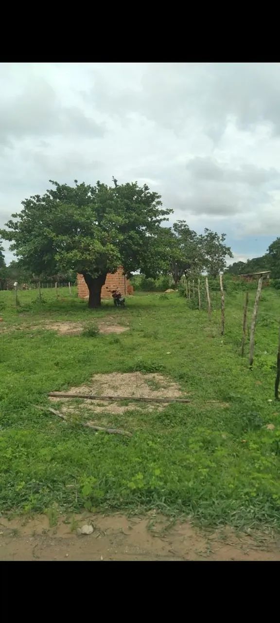 Terreno em Paraipaba Ceará  - Foto 3