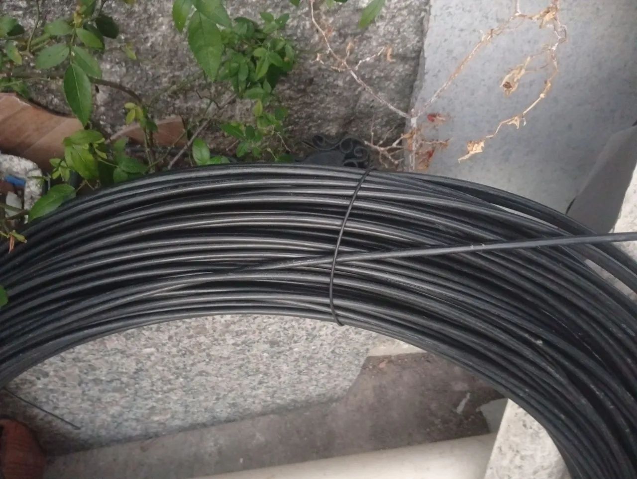 Fibra12fo  - Foto 5