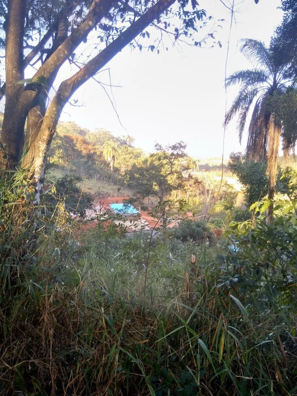 Chácara para venda ou troca - Foto 3