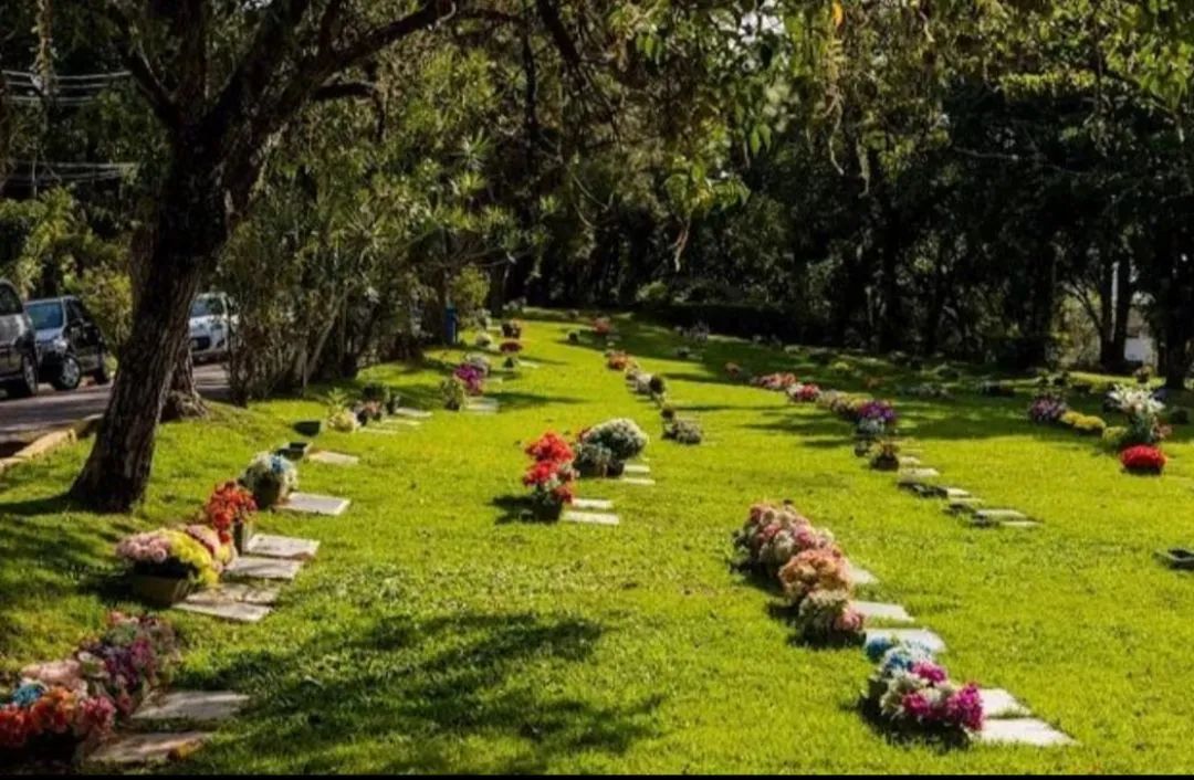 TERRENO NO CEMITÉRIO JARDIM DA PAZ - Foto 4