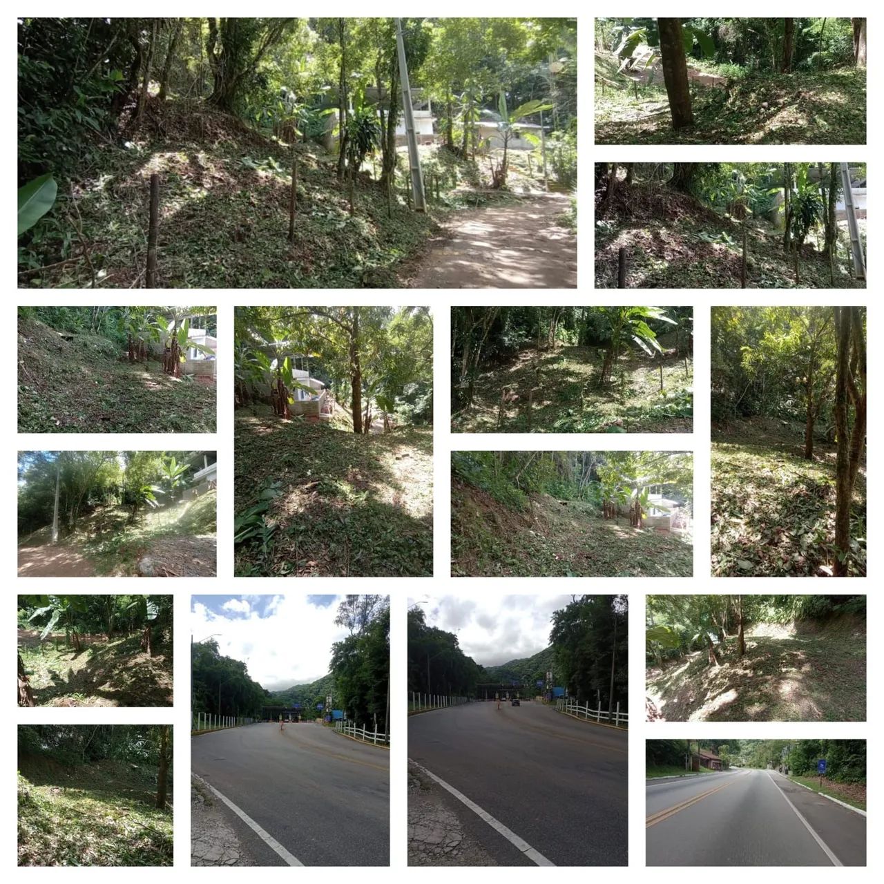 Terreno cachoeira de macacu