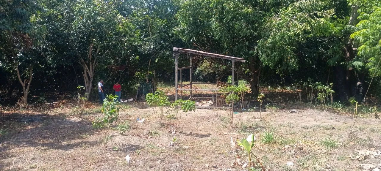 Foto - Boa Vista - Tancredo Neves