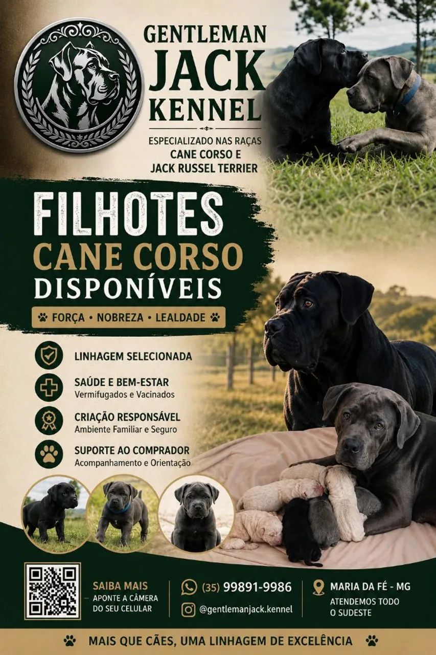 Filhotes de Cane Corso