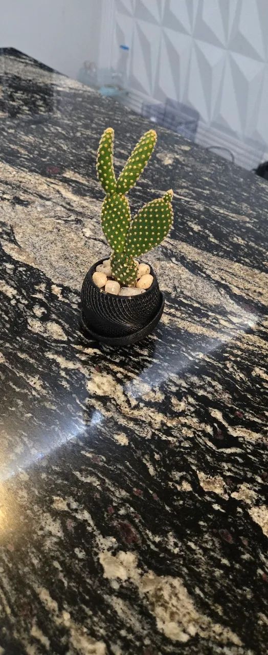 Mini vaso moderno com cacto e suculentas  - Foto 2