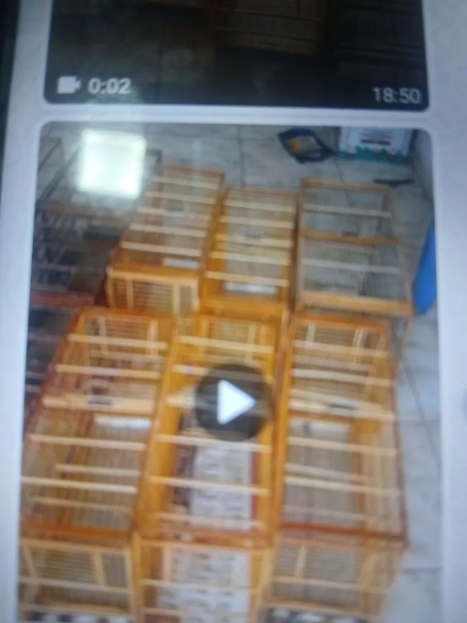 Gaiolas - Foto 2