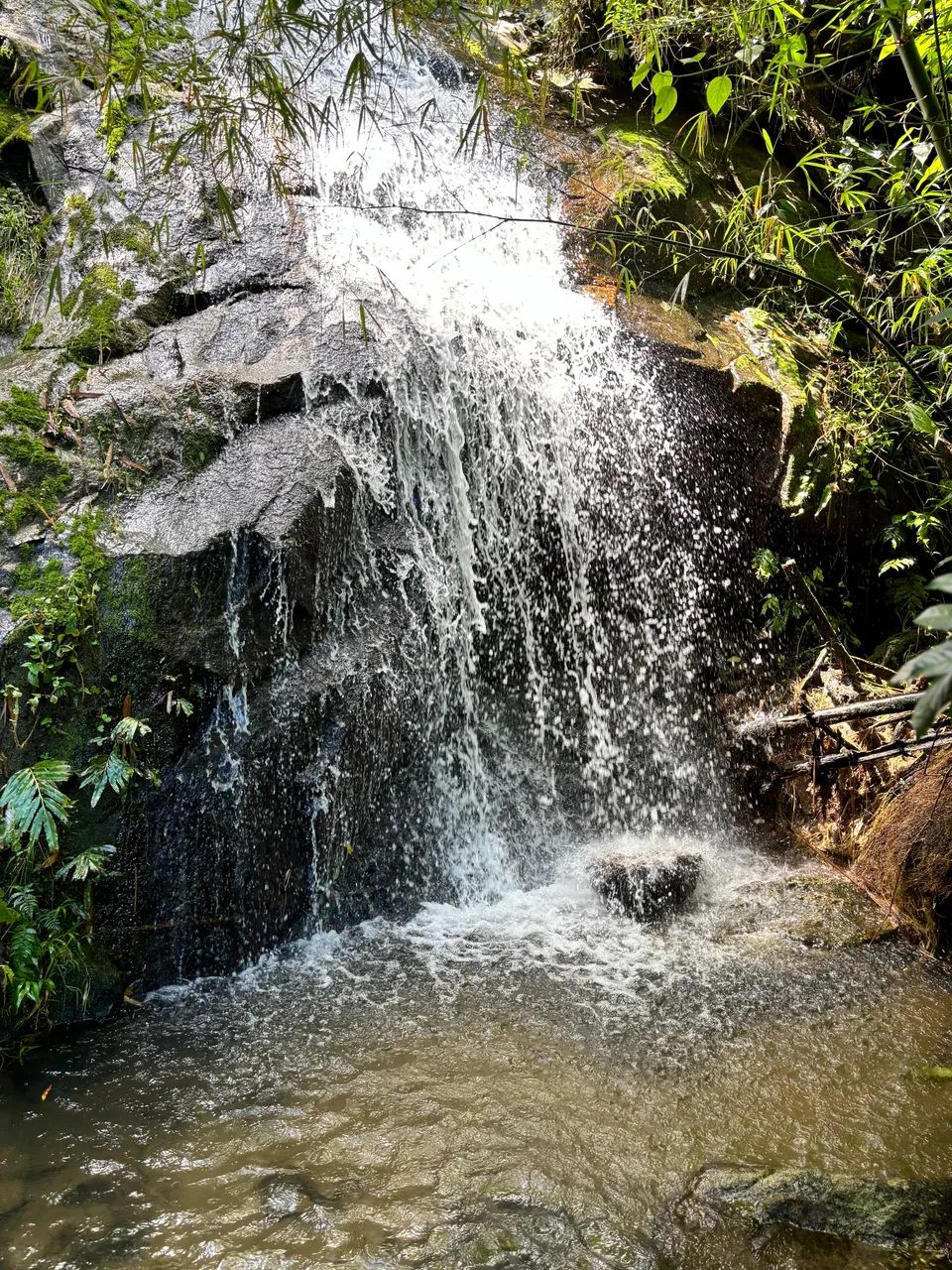 Vaga de caseiro em Silva Jardim/Bananeiras