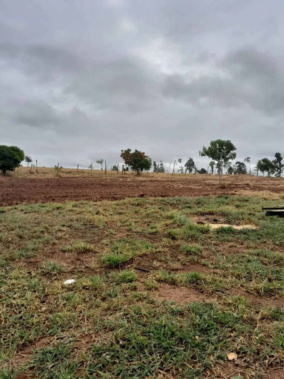 Foto - Bauru - Jardim Olímpico