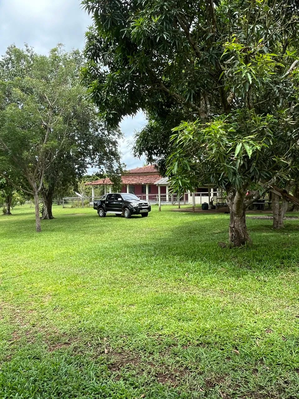 Fazenda à venda  - Foto 5