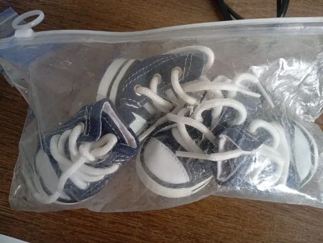 sapatos de cachorro