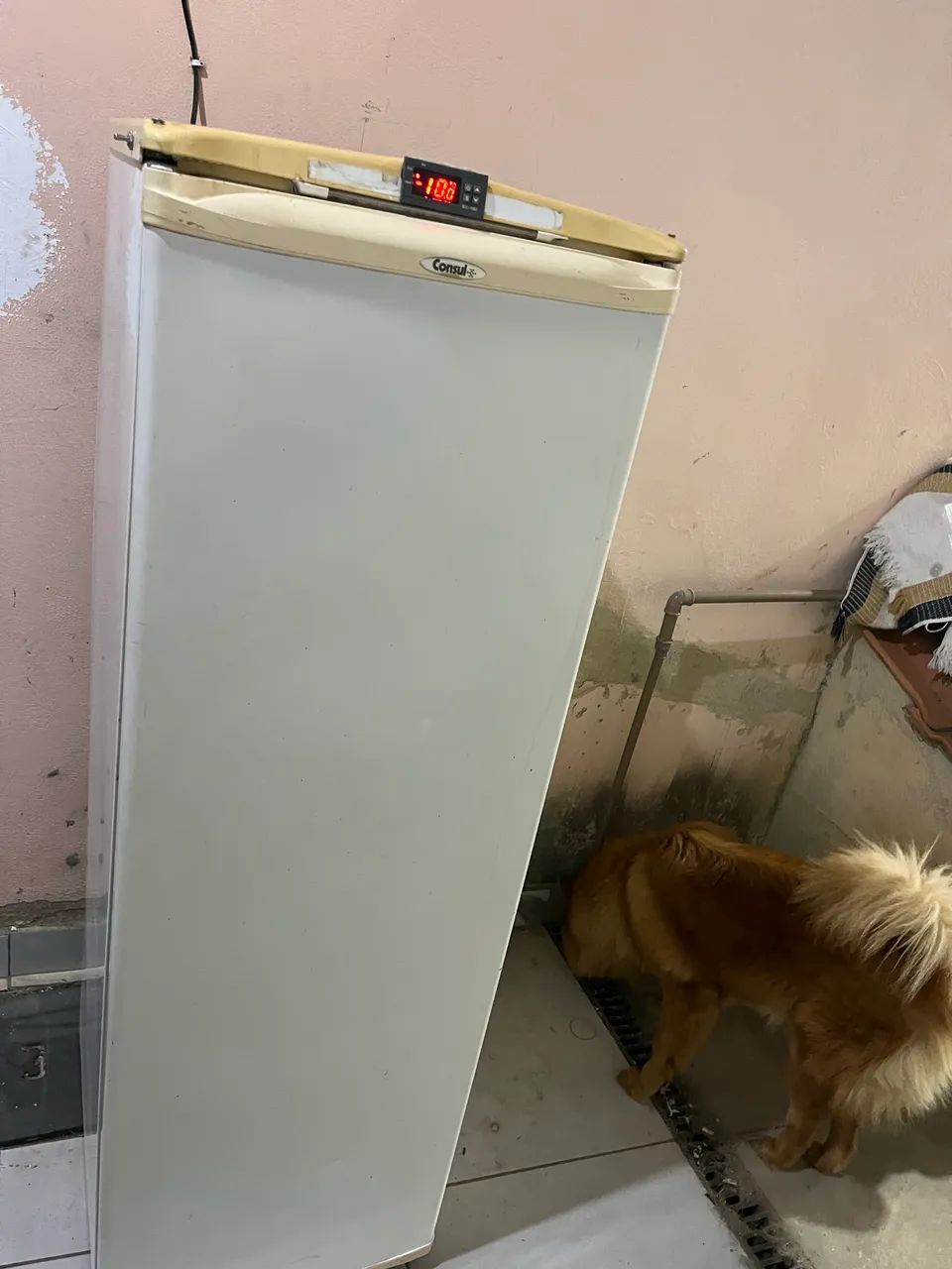 Freezer vertical  - Foto 4