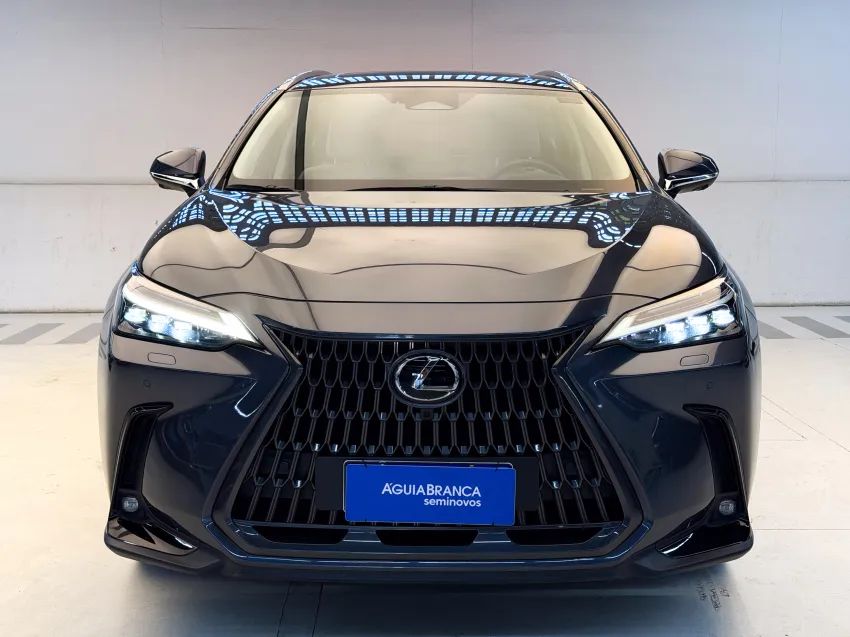Lexus NX-350h Luxury 2.5 16V Aut. (hybrid), foto 3 de 19