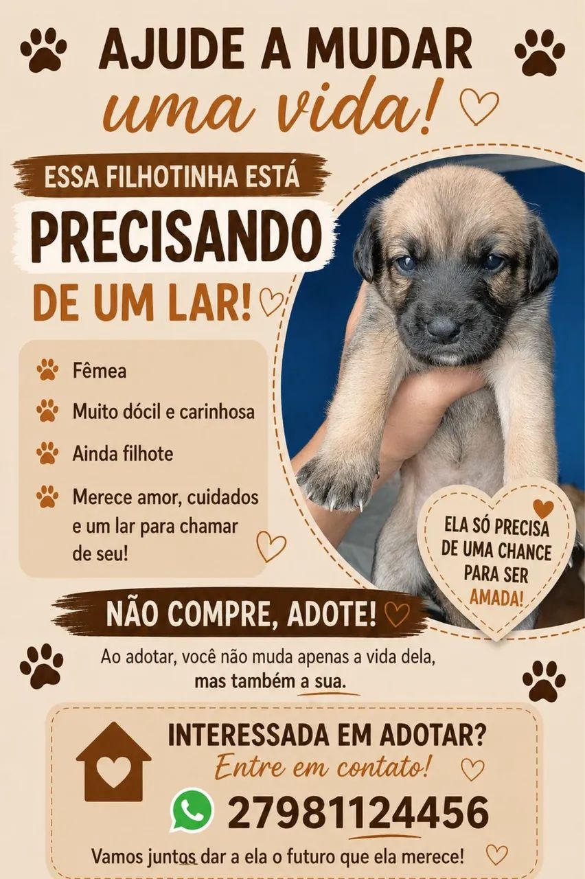 Doação 