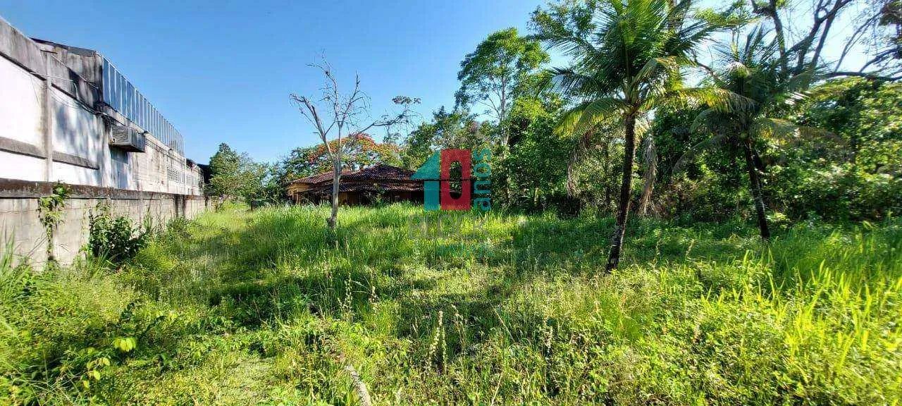 Vargem Grande | Terreno - Foto 7