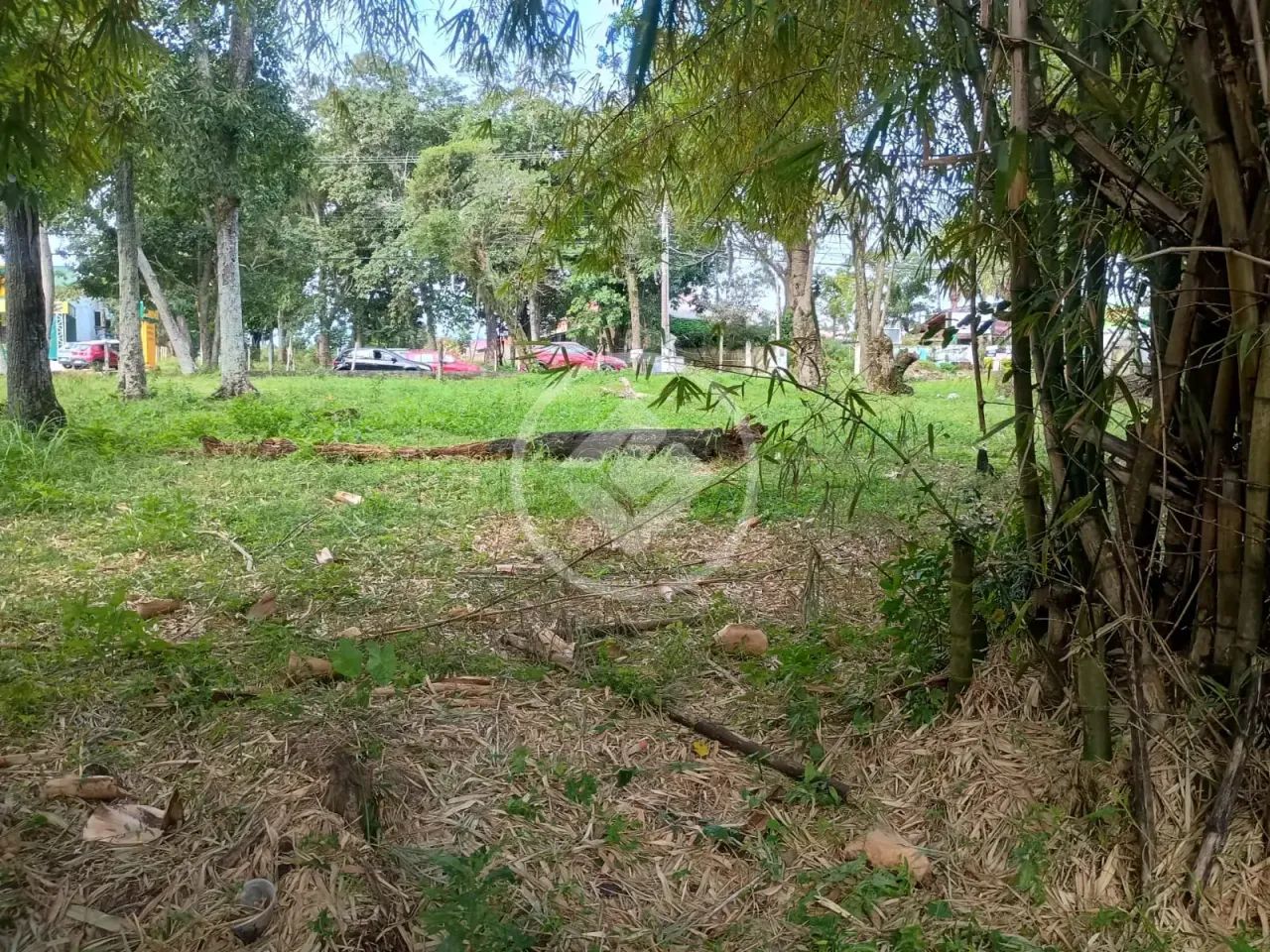 TERRENO - São João do Rio Vermelho - HS-351017 - Foto 2