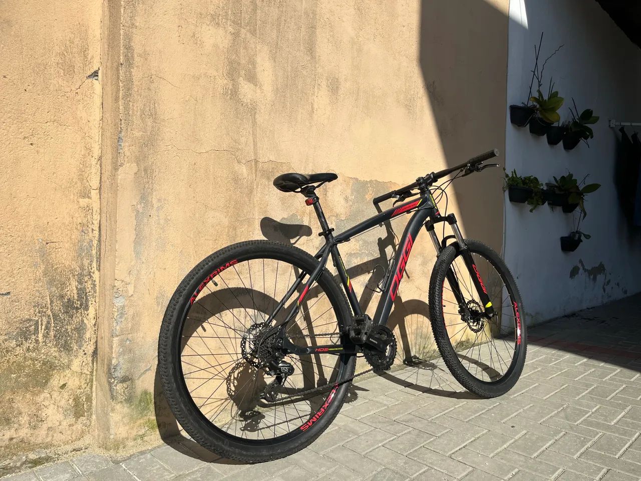 Oggi aro 29 - Foto 4