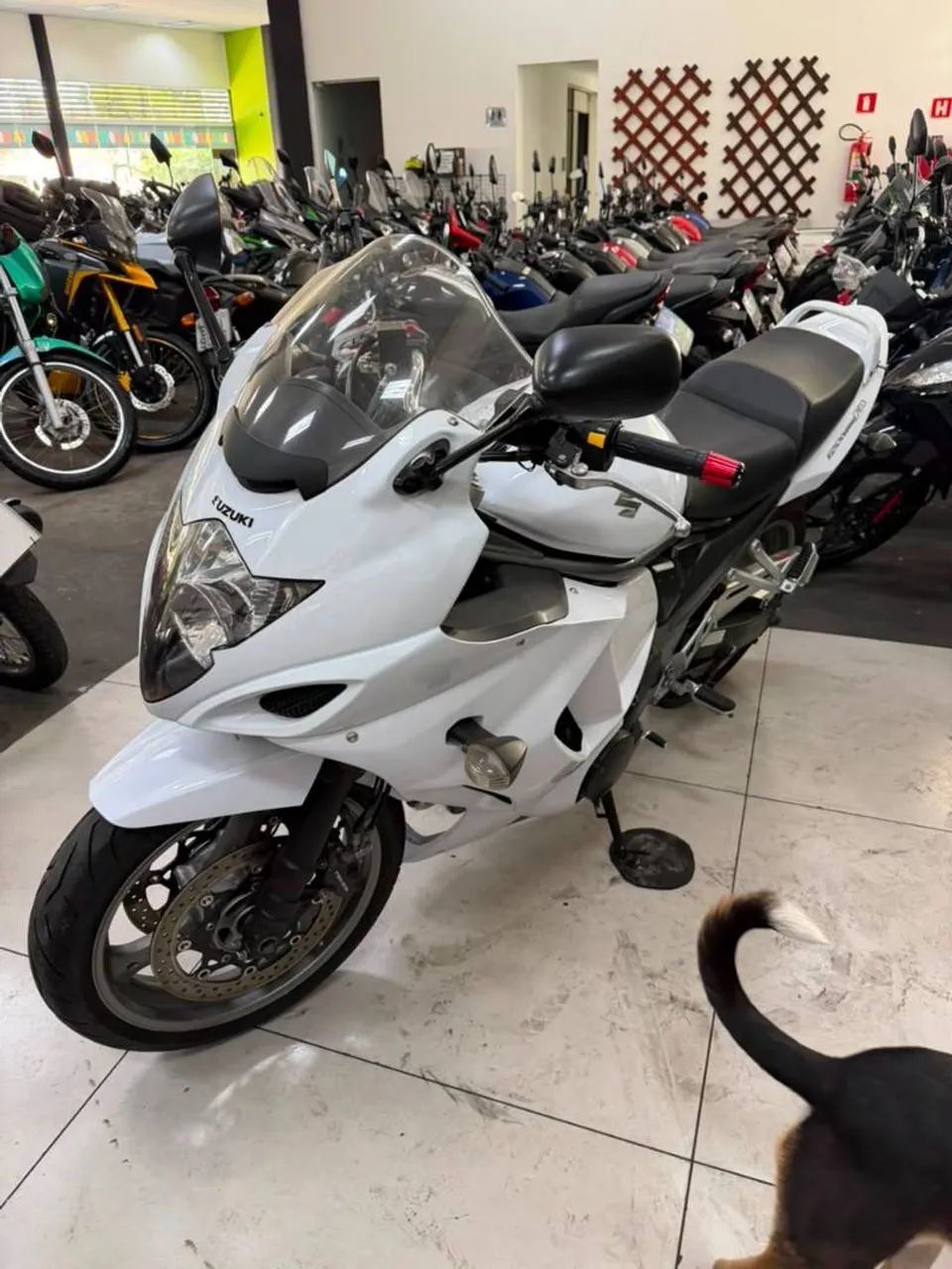 SUZUKI GSX - Foto 4