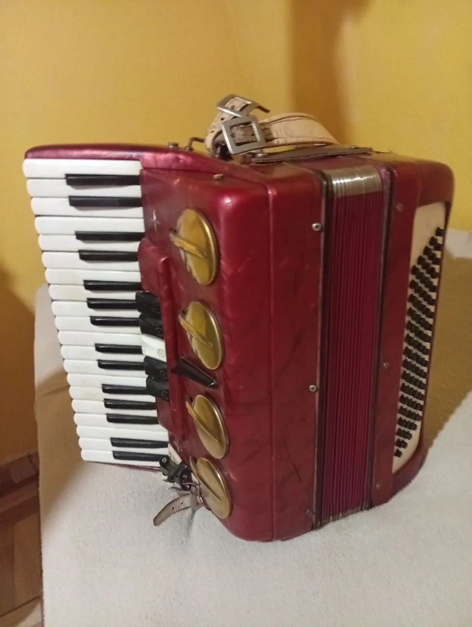 Acordeon - Foto 4