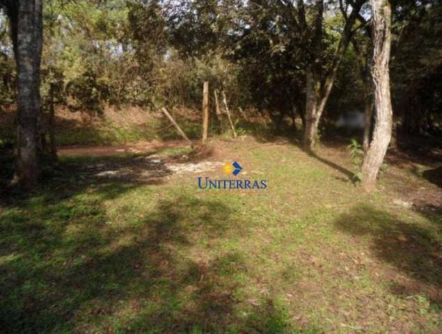 Terreno para venda em colombo no bairro são gabriel - Foto 2