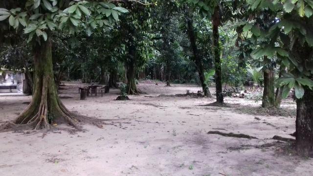 Terreno Mario Covas 78 x 280m, murado, plano, seco - Doutor Imoveis